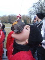 24. Jégkarnevál